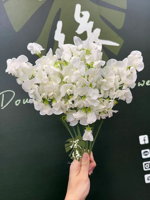 messageImage_1773687489815