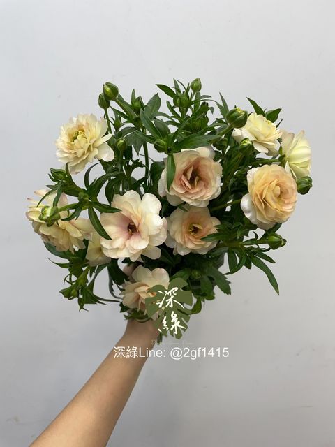 eZy Watermark_27-12-2024_12-26-06-4840下午-1735273690962