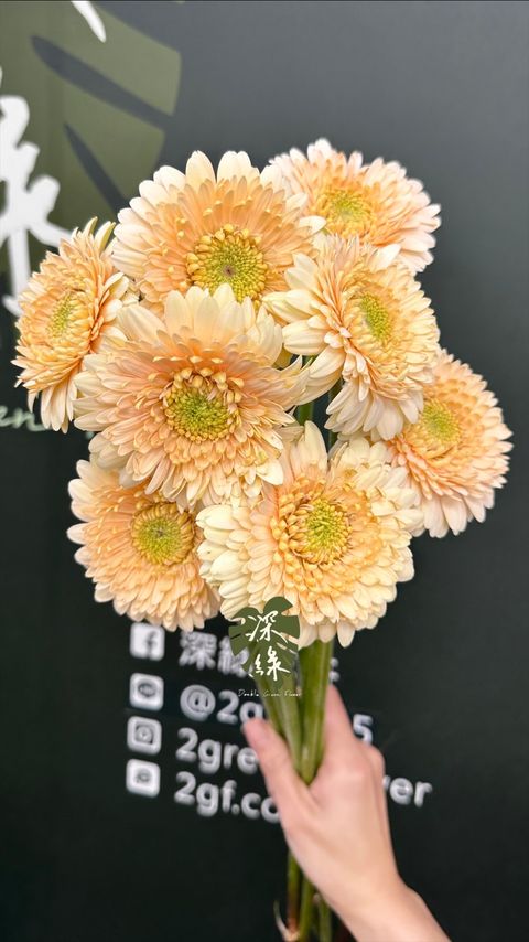 image_6657B97D-B526-4A67-9280-5594DCE26B88_1773717054