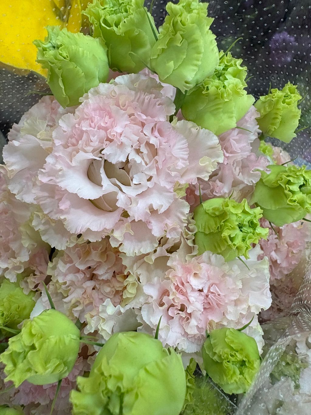 image_D39AE0F4-760A-4704-832C-778A1EEC9F6C_1773726438