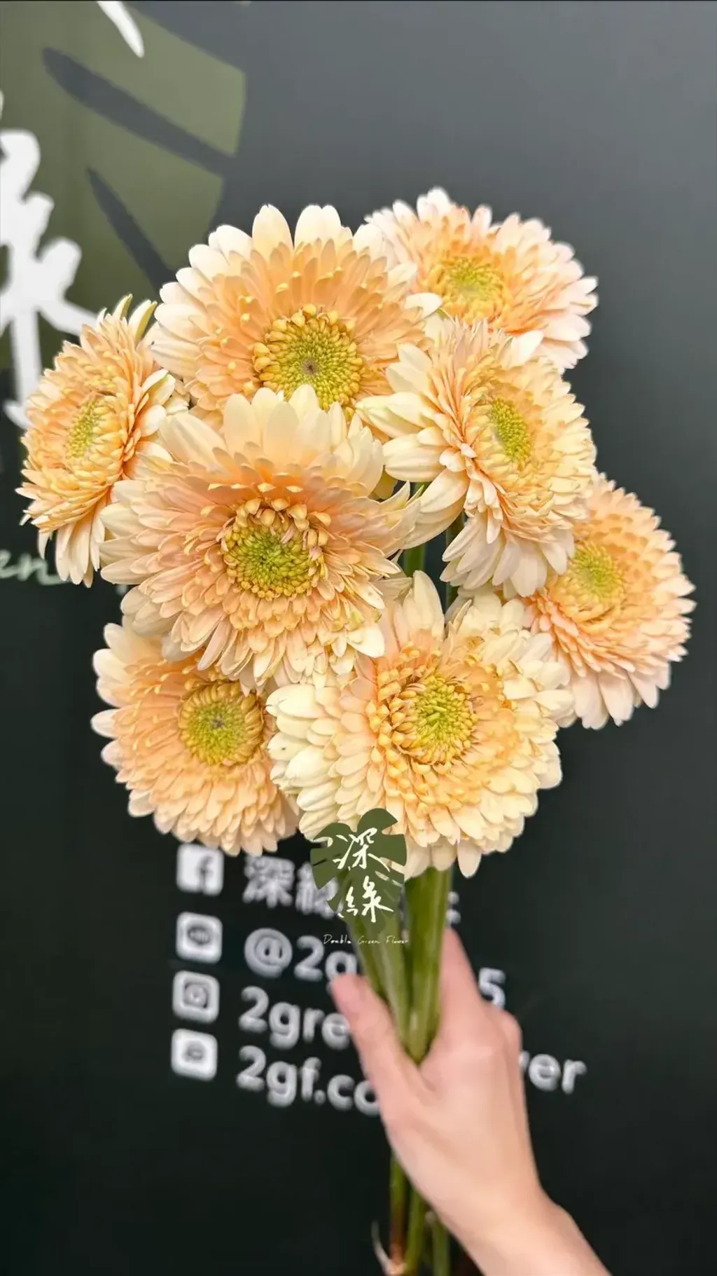 image_6657B97D-B526-4A67-9280-5594DCE26B88_1773717054