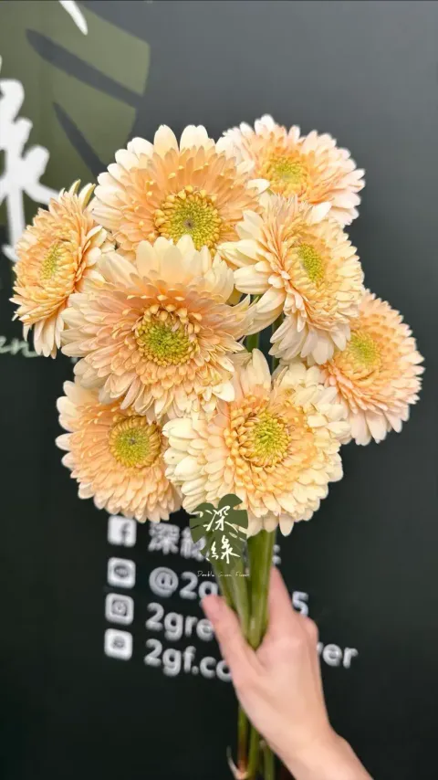 image_6657B97D-B526-4A67-9280-5594DCE26B88_1773717054