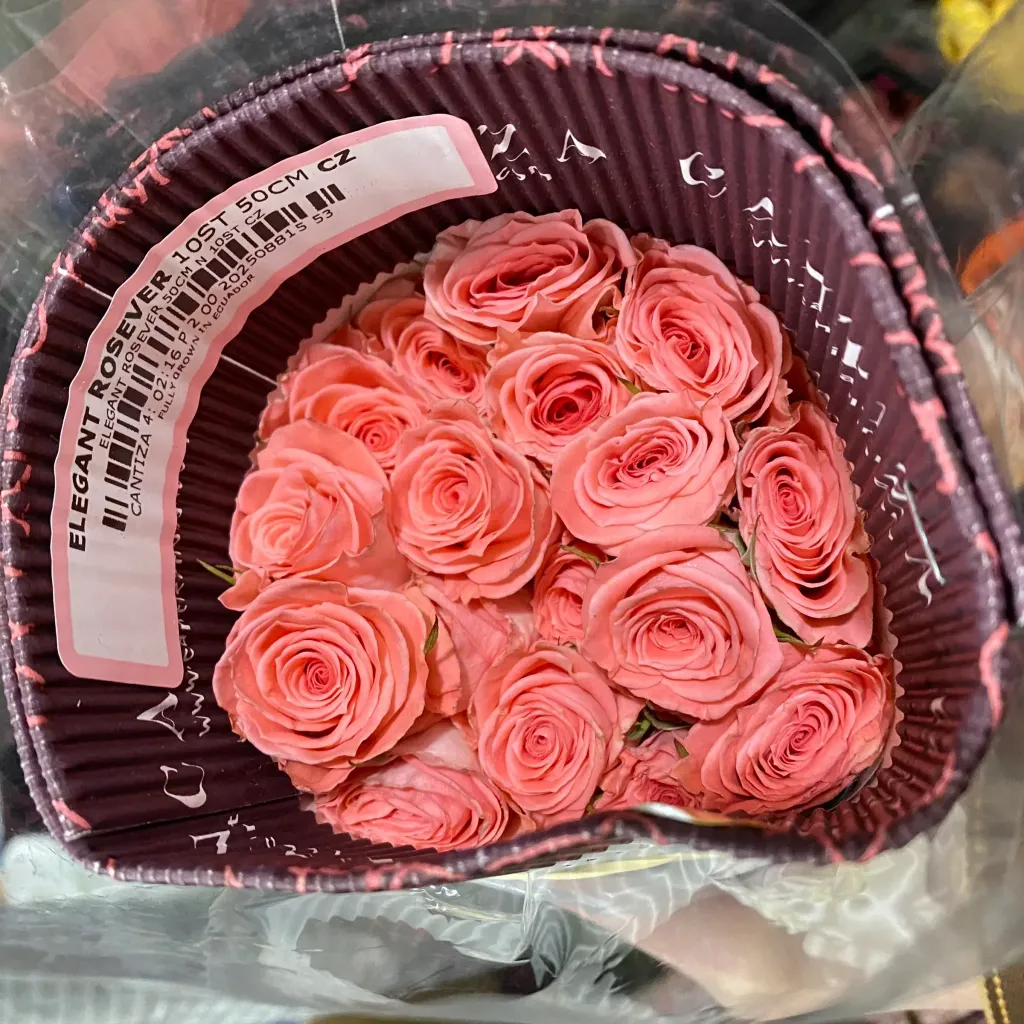 image_55344E46-3614-4B10-A81D-5F8447869954_1773649070