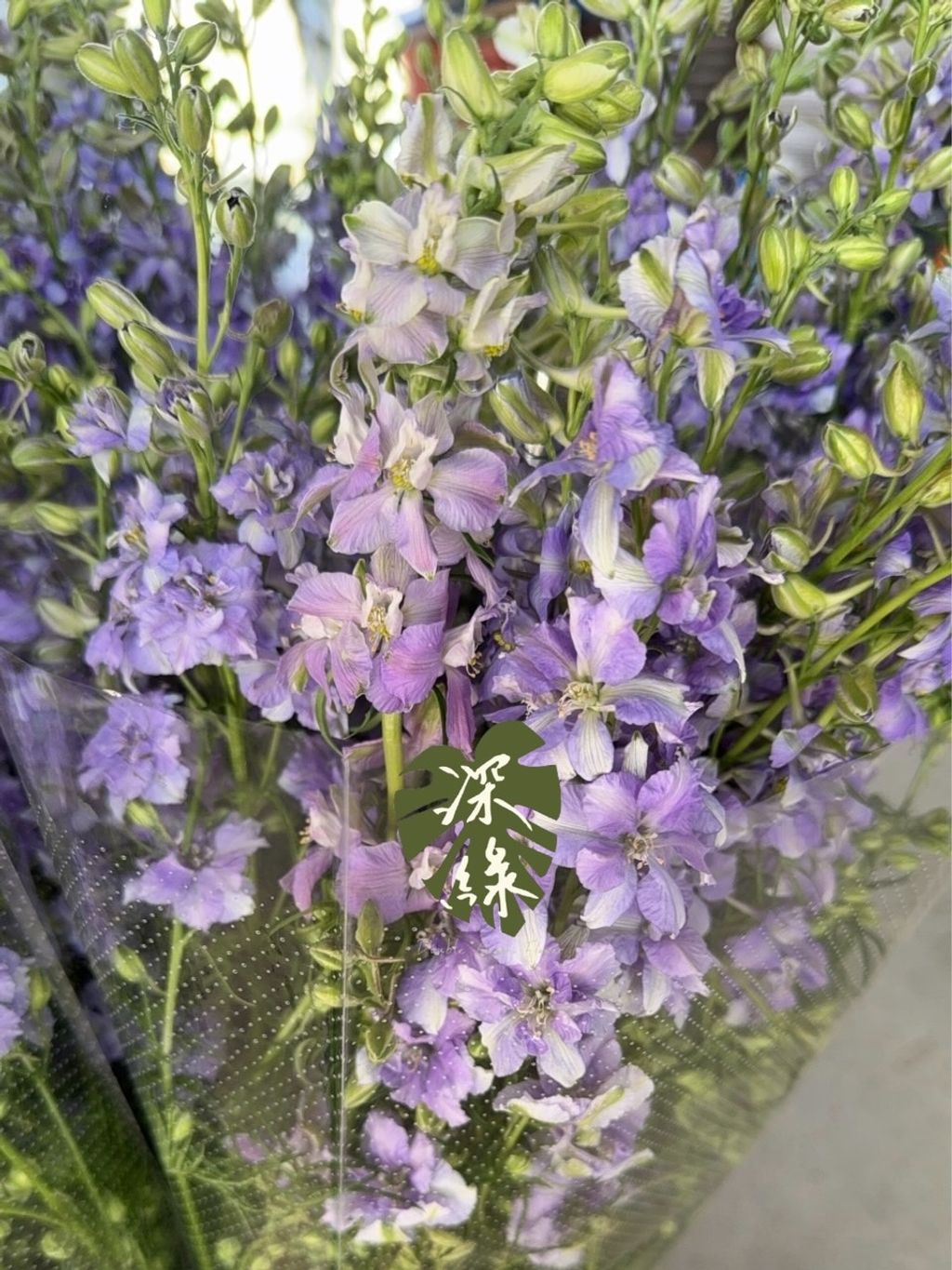 image_8152E760-9E0B-4379-9F39-D049A87520AC_1773810224