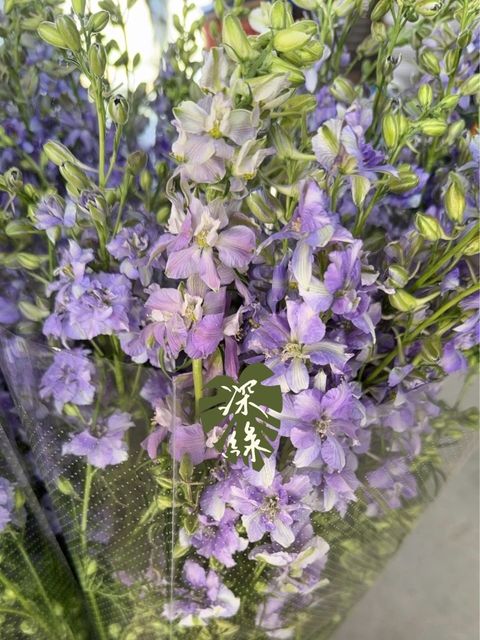 image_8152E760-9E0B-4379-9F39-D049A87520AC_1773810224