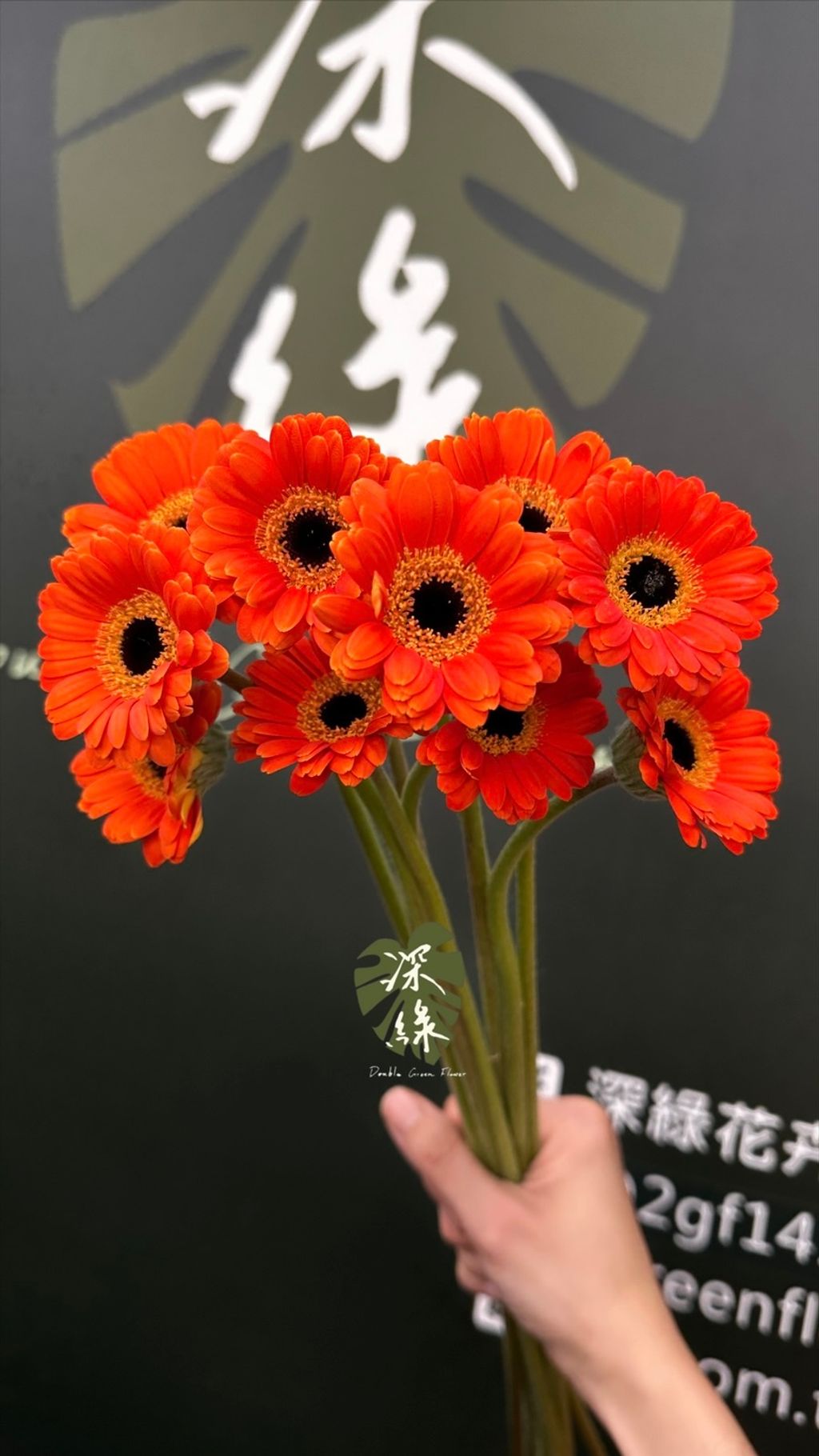 image_246CEE43-0D0B-44C7-81EA-2FCC68924559_1773810332