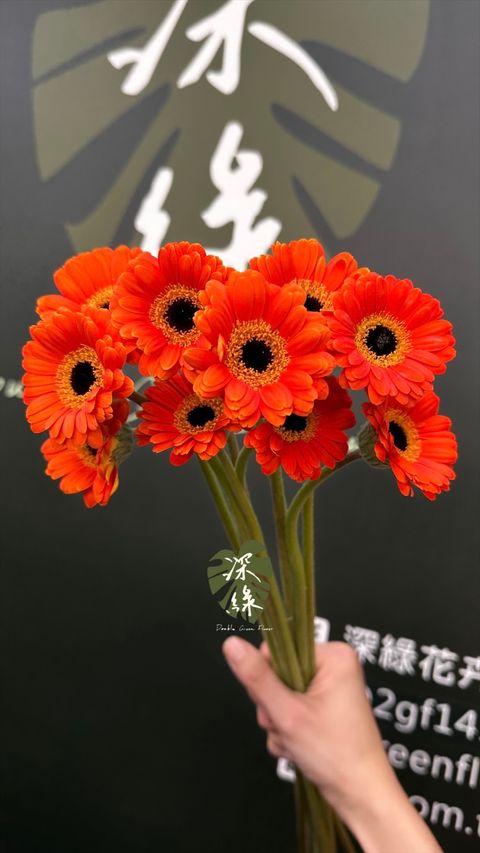 image_246CEE43-0D0B-44C7-81EA-2FCC68924559_1773810332