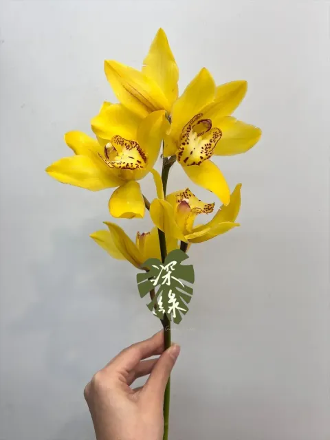 image_0D3EC91C-06DC-4739-8BEC-1999D0088338_1768960822