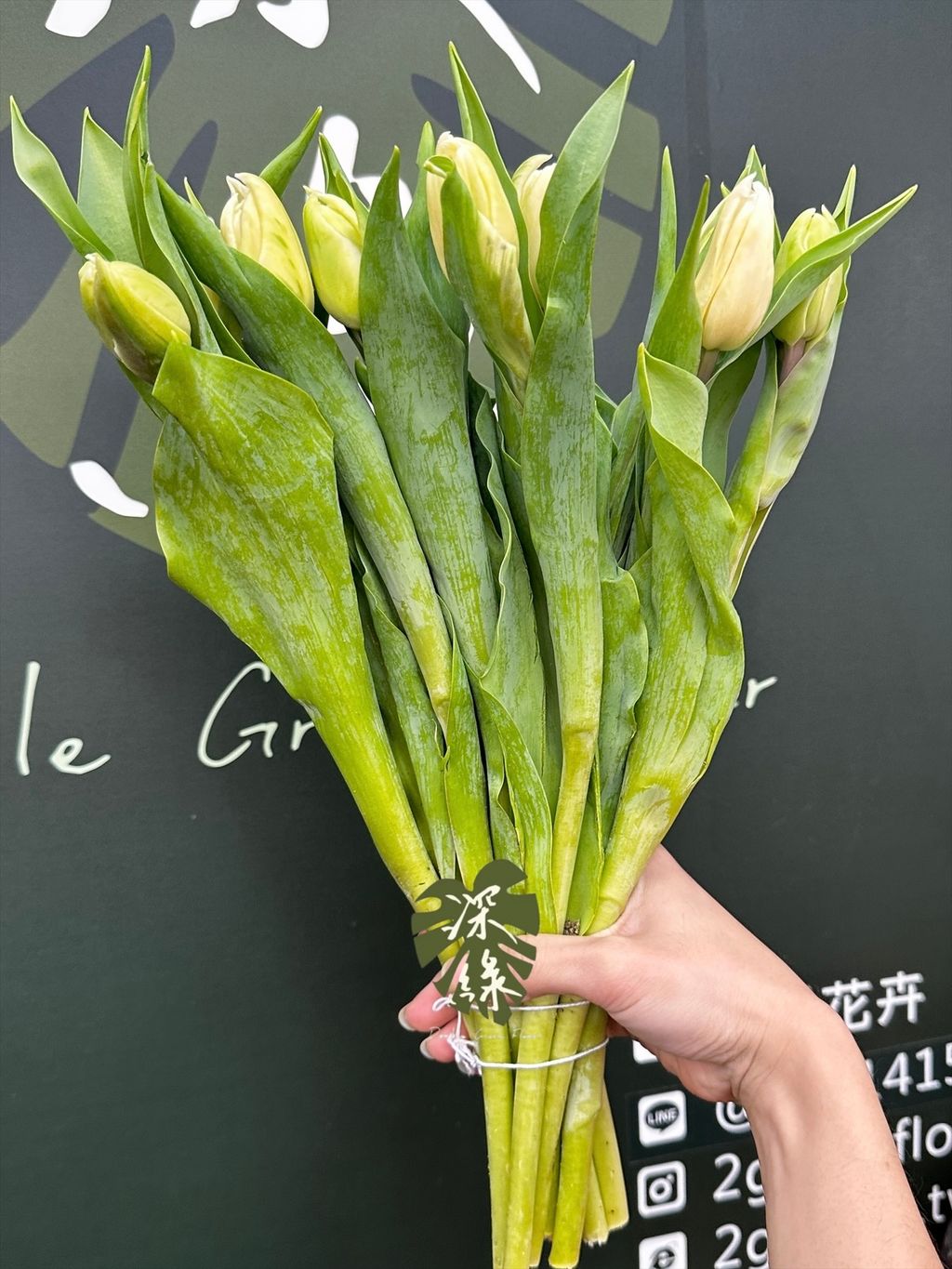 image_BF799DDA-3847-41C9-9A22-5AF61D3D12E9_1773825799