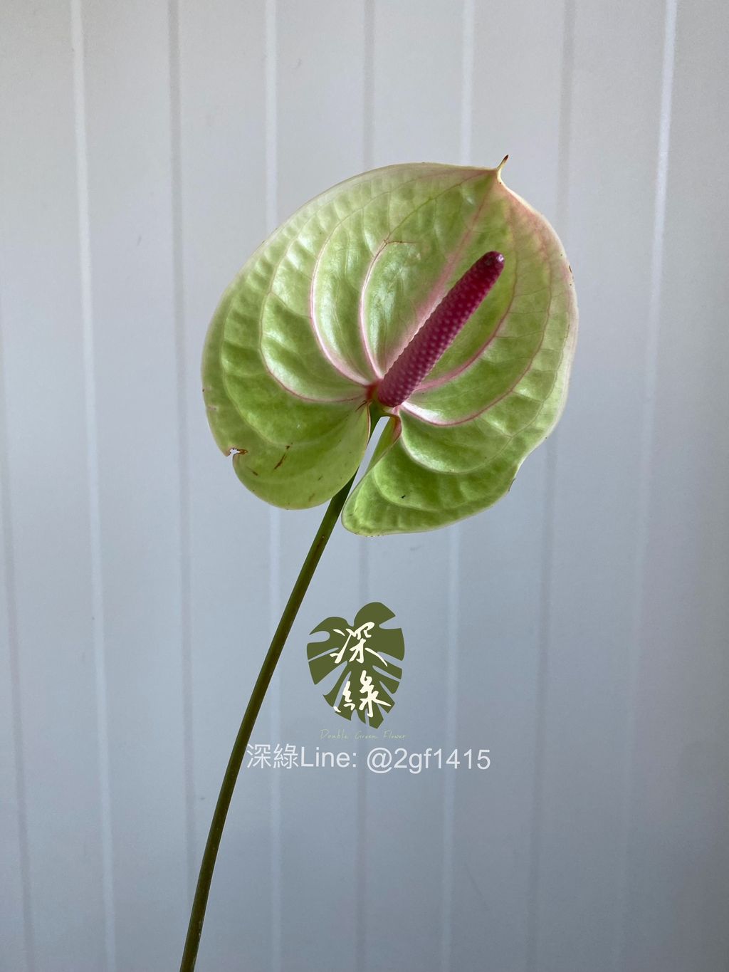 image_363ACCFA-64EE-4D6D-B22C-A19454DEF132_1773856813