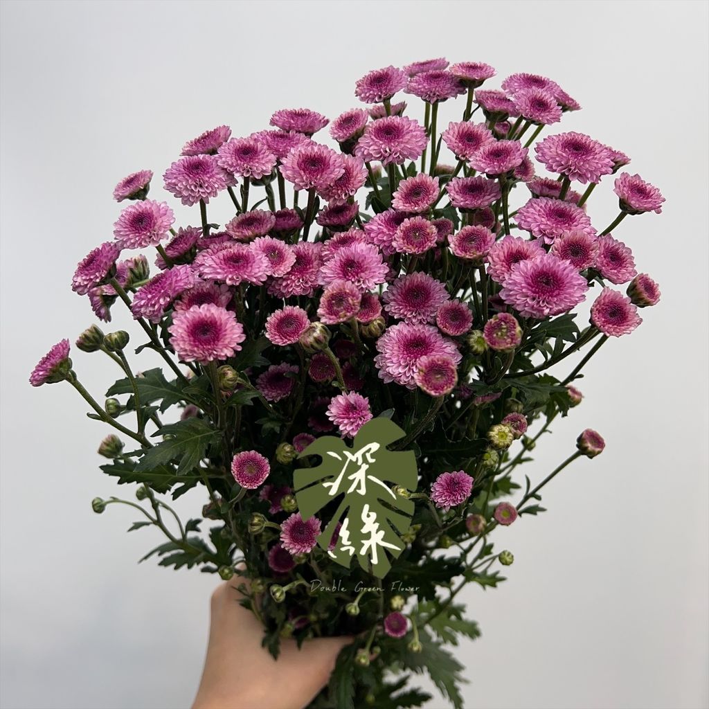 image_F53389C5-5A89-4E44-8B87-D2771F3EB116_1773894038