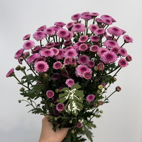 image_F53389C5-5A89-4E44-8B87-D2771F3EB116_1773894038