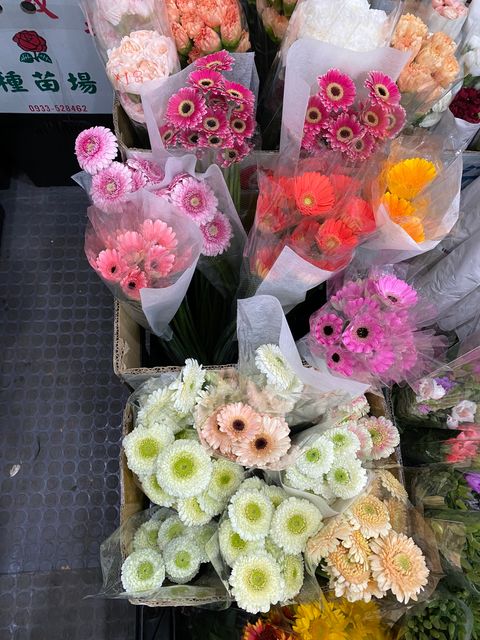 image_3E79E516-D0FF-4CE9-A835-E4C42616114B_1773911396