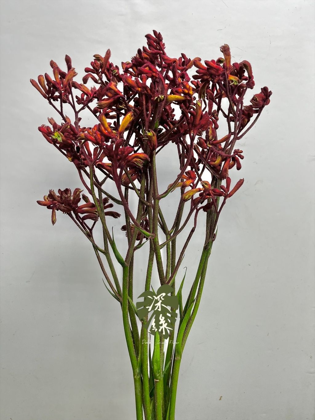 image_98341AC0-B9CF-4FFC-AD64-39D4A20D9F53_1774136884