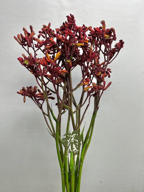 image_98341AC0-B9CF-4FFC-AD64-39D4A20D9F53_1774136884