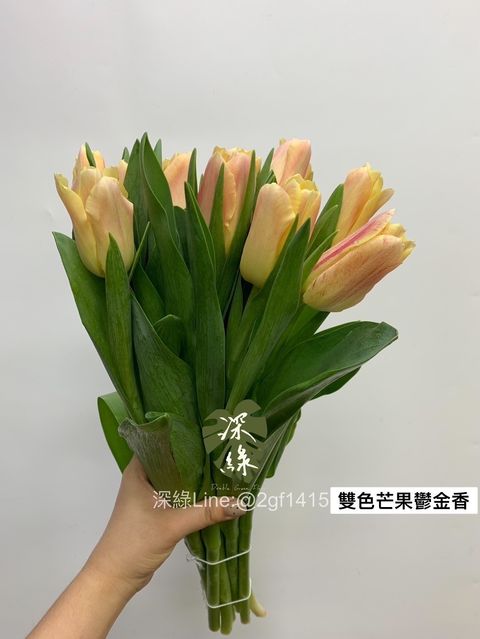 6A846A26-FF09-4B7A-A804-09881587418E