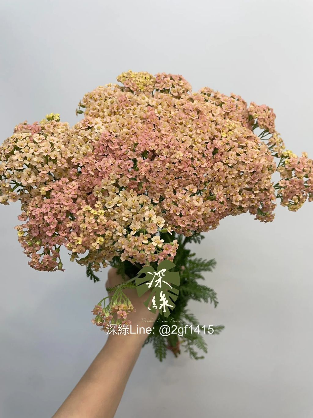 messageImage_1774159094679