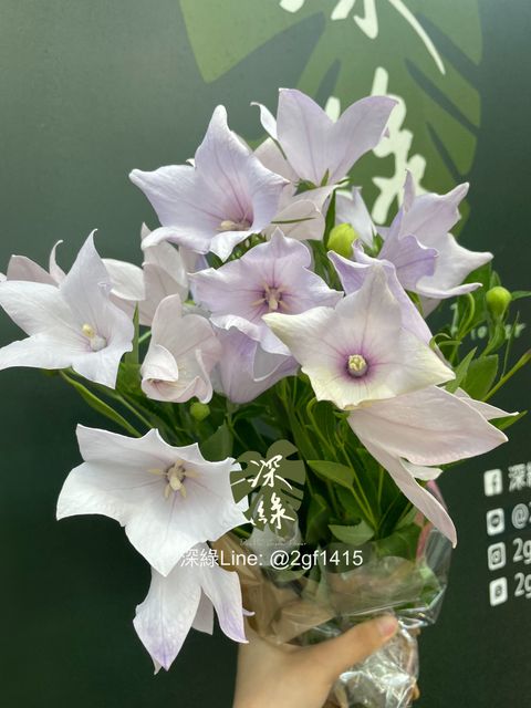 image_8F8734E4-770B-45C8-92D8-E2D2CB7FC3EB_1774231997