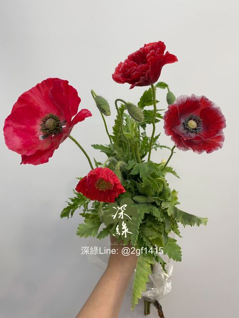 image_45A007B1-30F9-4A38-BAE8-D8147DA1C39D_1774232278