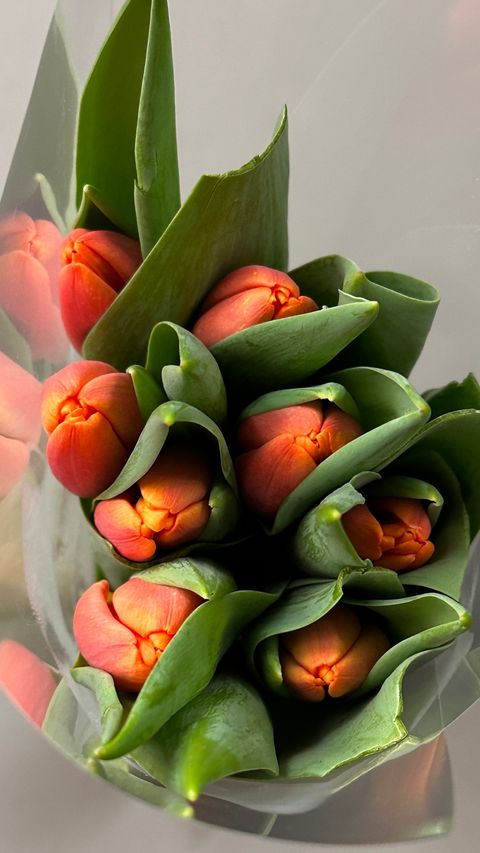 image_719F9858-8C15-4DEE-8E7D-15EB4F26A965_1774233013