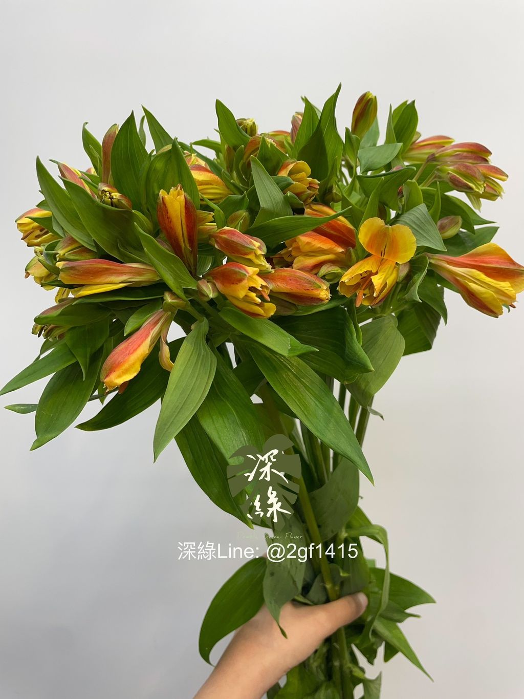 image_00C376F0-FEC8-4874-812B-DCDE132255E7_1774235610