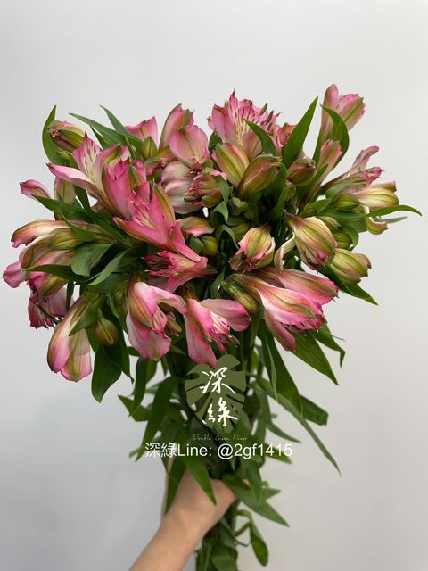 image_B34DFB25-A2F3-4B7A-8564-DDD23F93A8CF_1774235702