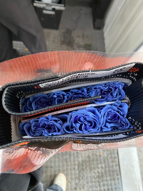 image_2F393562-7258-4440-A9AC-2F0786152B5B_1774247709