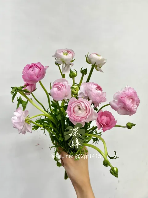 eZy Watermark_15-02-2025_08-02-06-4430上午-1739577744901