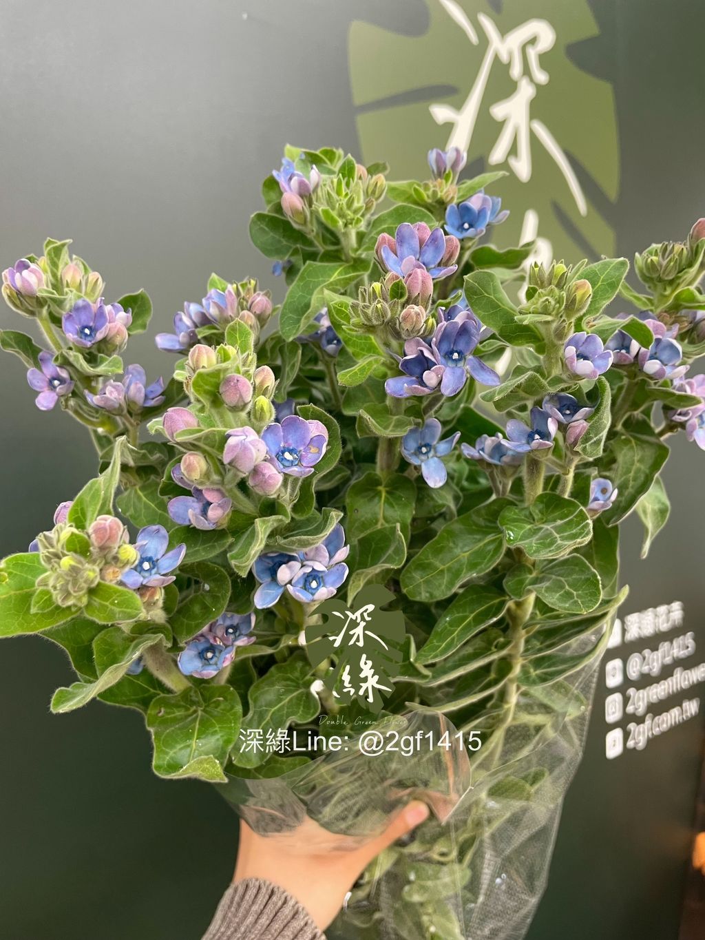 image_FC4CEEFE-203C-49B0-99B7-17B45761244B_1774322486