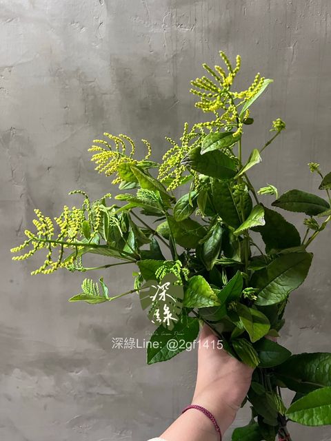 image_FFD17343-AFF9-413B-8795-7B7BB9B6CD52_1774339415