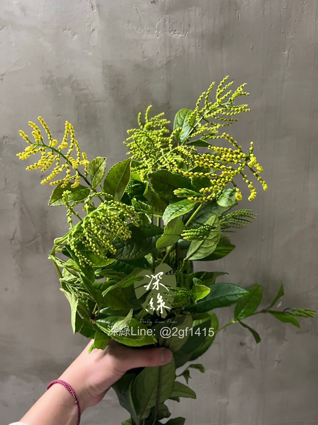 image_EE79CDE1-60EE-4AAE-A64F-7BE4381BEA77_1774339415