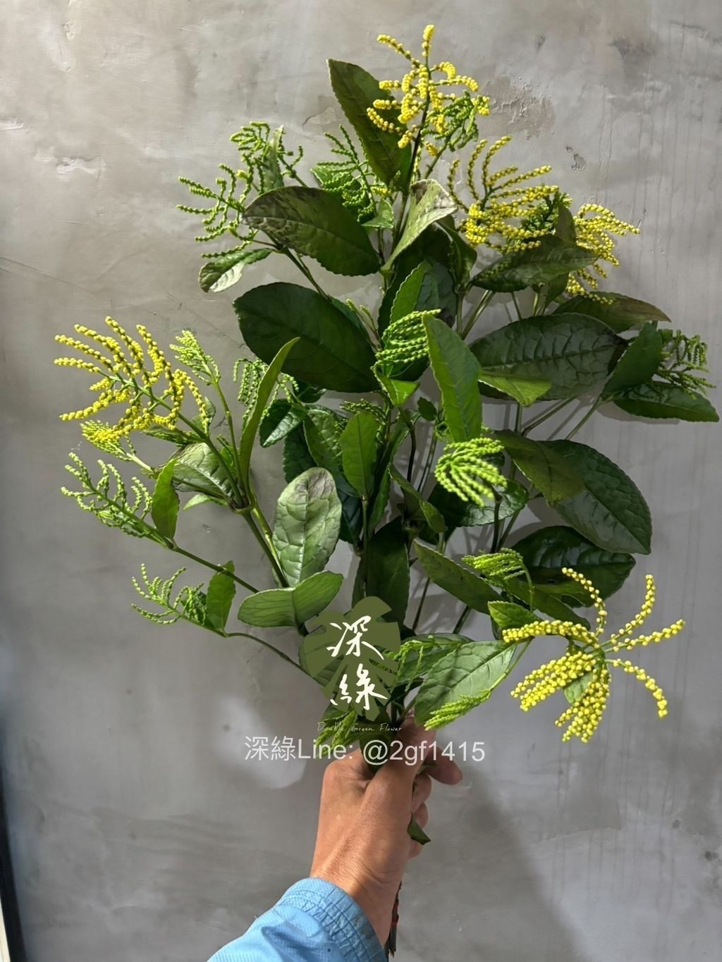 image_4A3D4055-4389-4411-B67D-19A07F10B1A9_1744539645