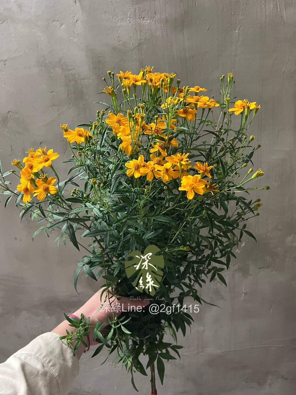 image_6D750021-689F-4655-973F-35817E602C3C_1774339596