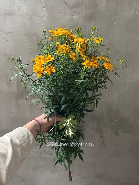 image_0FCACCEE-ADCC-4D0E-9468-28FE0FD55691_1774339596