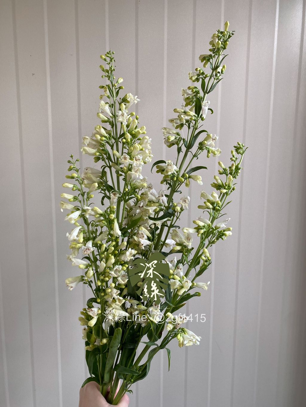 image_D669B88E-4952-4F7A-B748-AEC0A9EEED54_1774344222