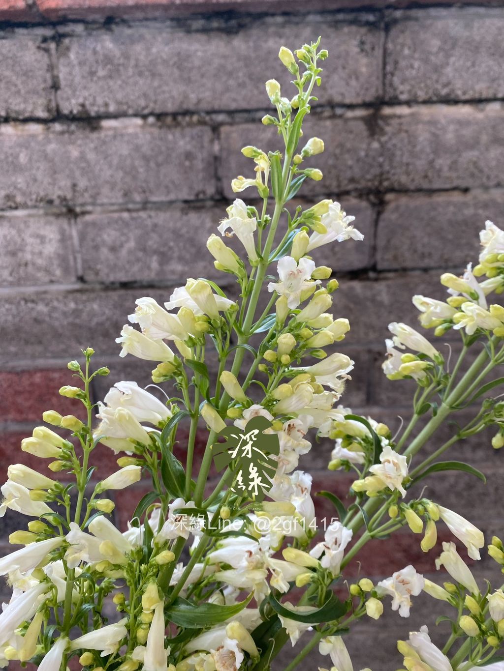 image_CB5C5900-DC78-41B1-8837-C73404100A2B_1774344222