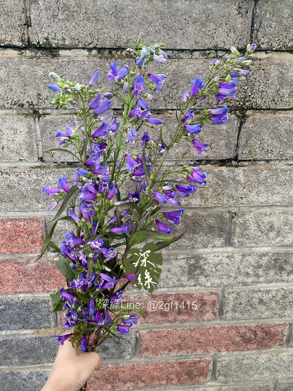 image_82F4F1FC-3DC6-4030-B305-3C79412D795D_1774344307