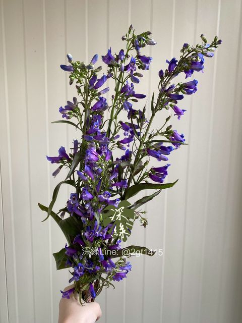 image_A4E05421-7222-43D0-BCE2-05E00911FCE4_1774344307