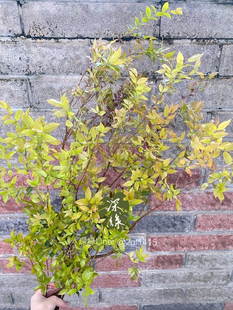 image_0140FE0F-7B50-4473-AEB1-DCE054E81D4F_1774344485