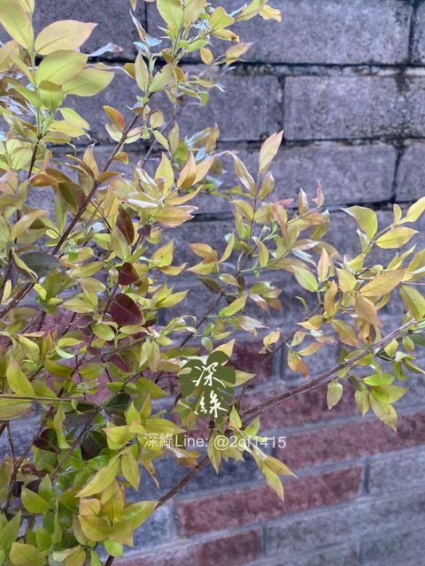 image_7726C697-E457-4094-A8E2-4FC70081A93D_1774344485