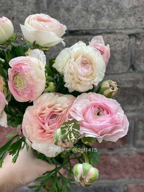 image_72952E32-855E-4EF5-A82E-91A5B9CBCAF5_1774359279