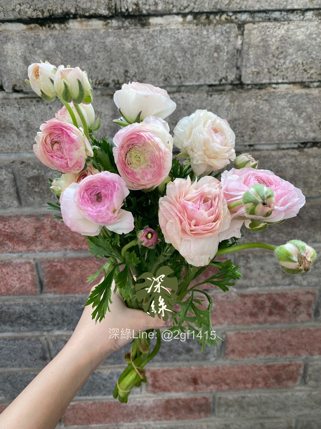 image_C77AD079-7E62-4A50-9ED2-A816FB63B440_1774359279