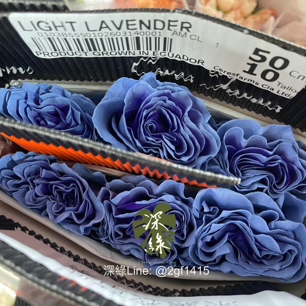 image_C0891591-7075-4066-B53F-1B5CD7E7F9BE_1774410904