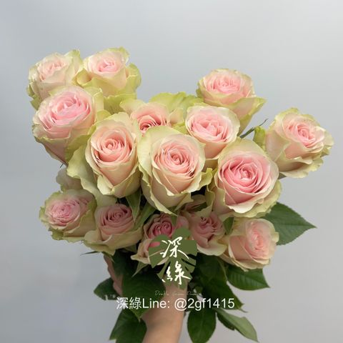 image_8B6AEC8A-878C-459D-A14F-6F6A024C5F13_1774496769