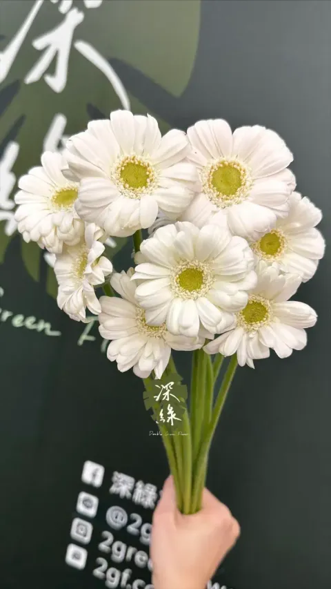 image_5A7AB2D0-707C-403F-AA41-B074720DABA2_1773717082