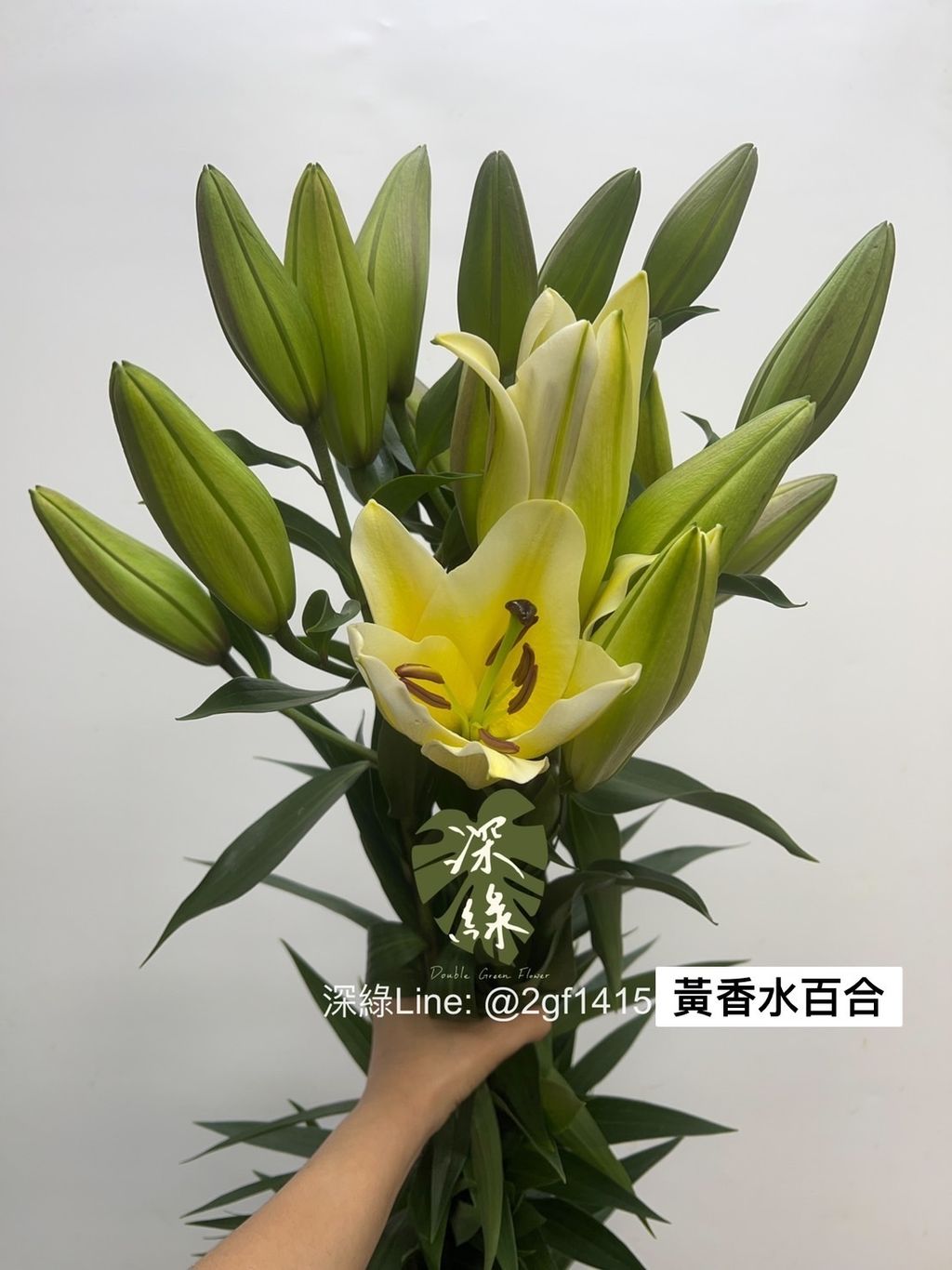 S__3227706