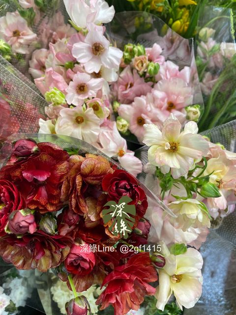 image_BAB9925F-3FD2-48D4-ACE3-011E9DB43A36_1774574125