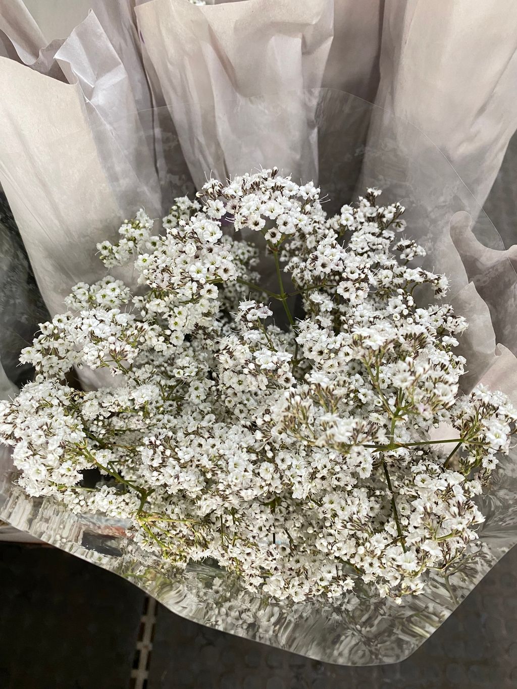 image_31FC1CCA-7DBE-4093-8F34-6D9D0ABED2F6_1774602613