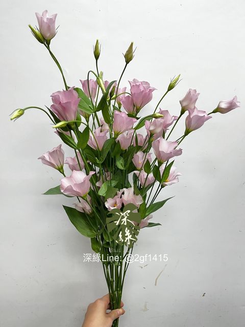 eZy Watermark_27-11-2024_12-56-01-2630下午-1732683386554