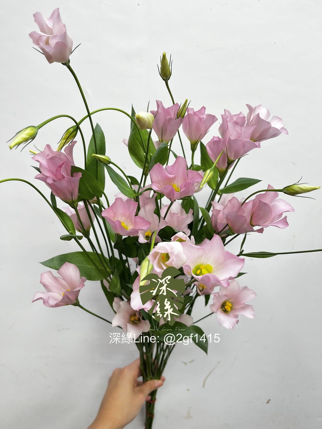 eZy Watermark_27-11-2024_12-56-00-9670下午-1732683386552